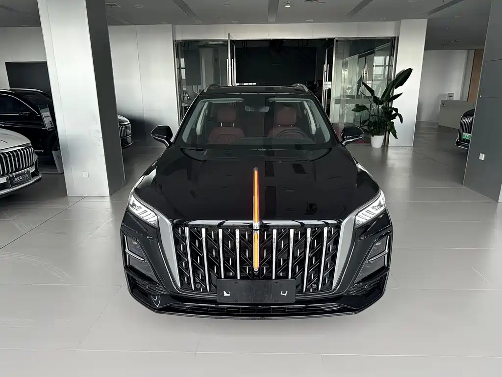 Hongqi HS5 2025 2.0T 2WD 600,000 Commemorative Edition