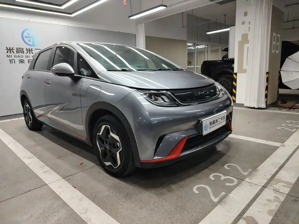 BYD Dolphin 2021 405km Fashion Edition