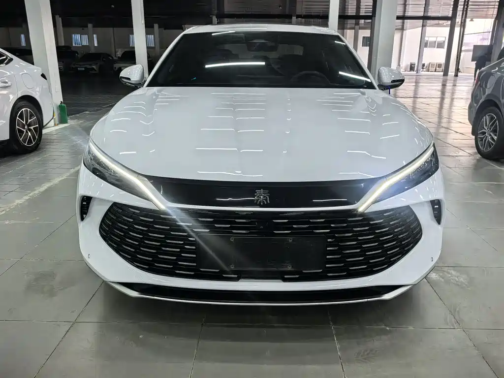Qin L 2024 DM-i 120KM Excellence Edition