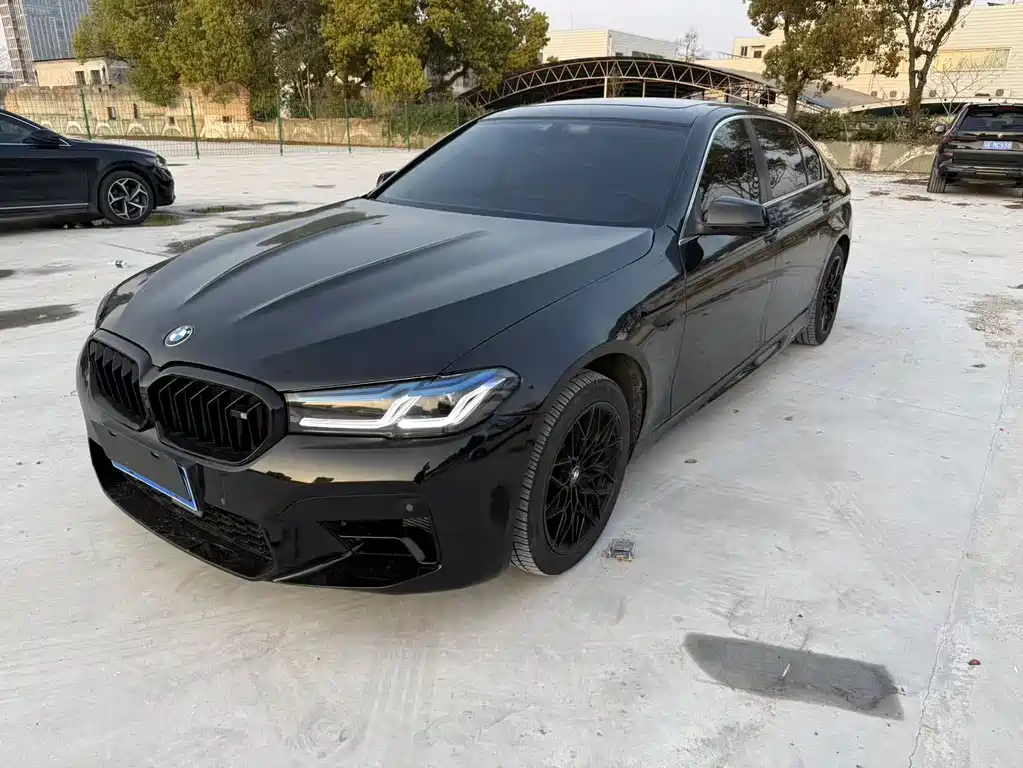 BMW 5 Series 2012 530Li Leading Trim