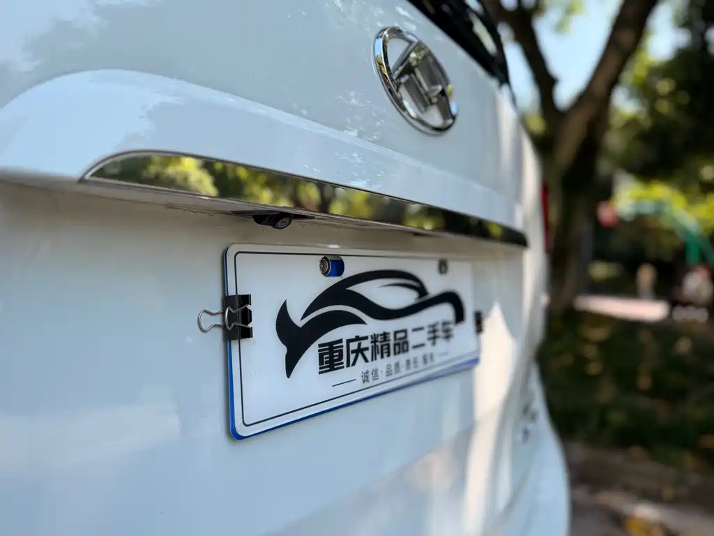 Maxus G10 2019 PLUS 2.0T Automatic Elite Edition China VI