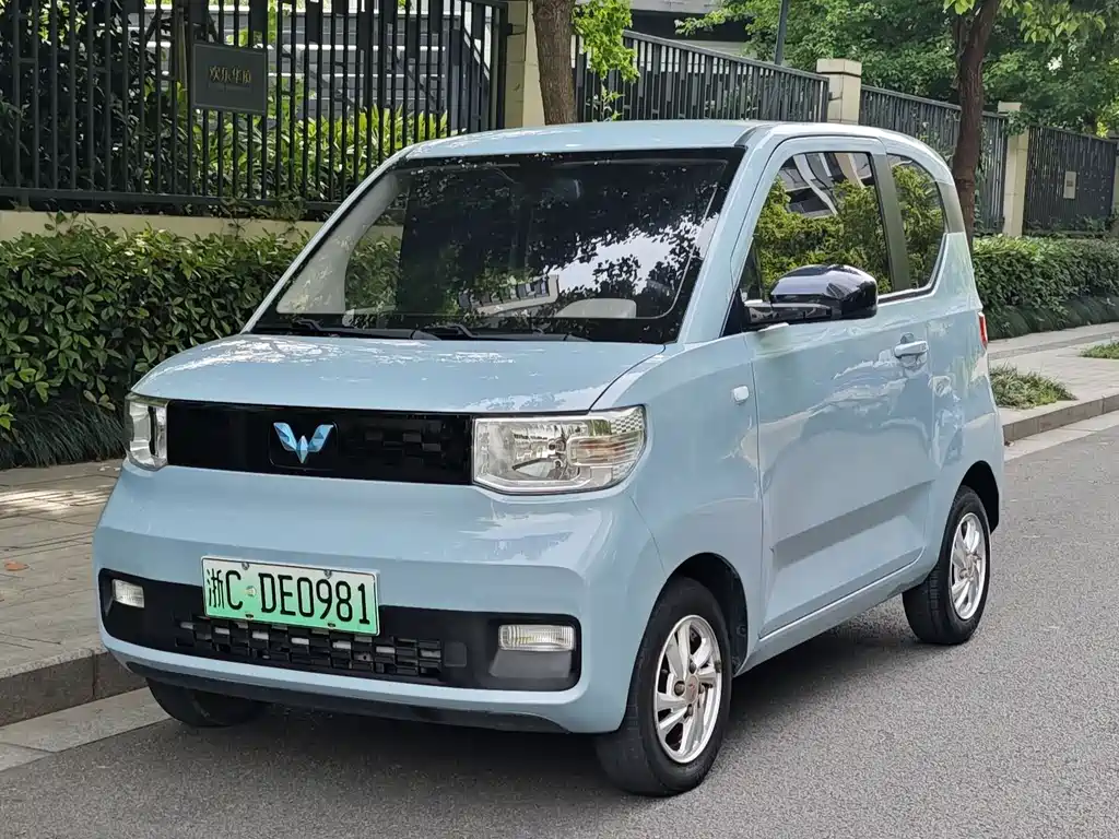 Hongguang MINIEV 2021 Macaron Premium Edition LFP