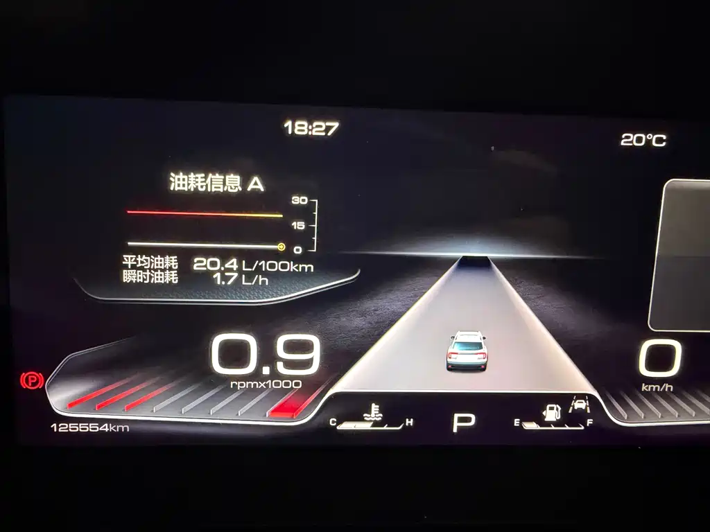 Haval Big Dog 2021 2.0T DCT 4WD Chinese Rural Dog Edition