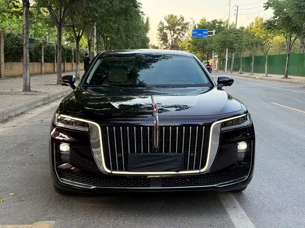 Hongqi H9 2020 2.0T Zhilian Qichang Edition