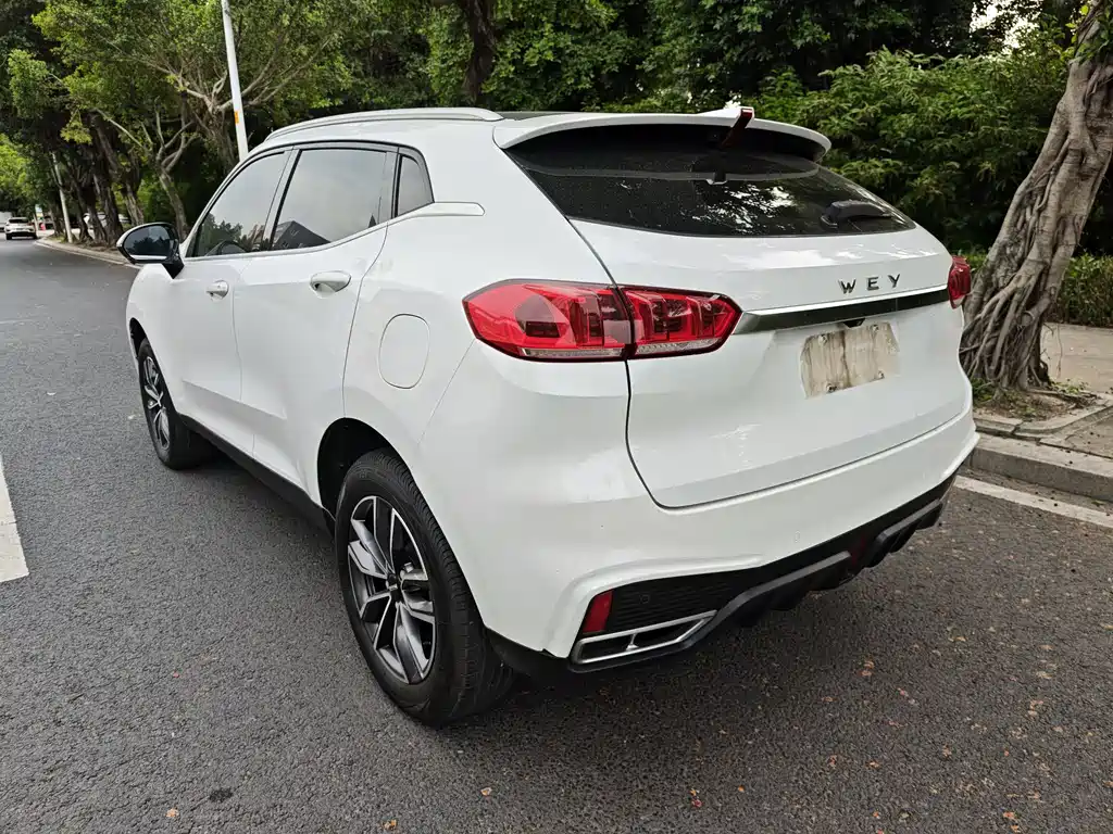 WEY VV5 2020 1.5T 2WD Zhi Xianfeng
