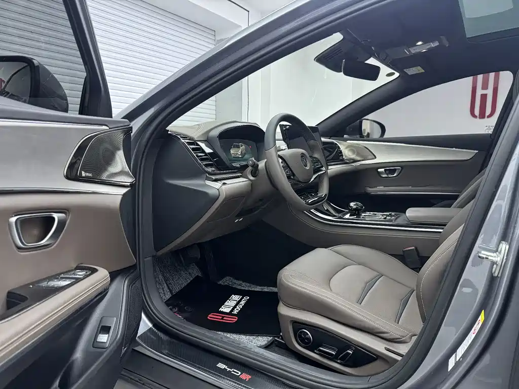 Han 2020 DM AWD Performance Edition Luxury