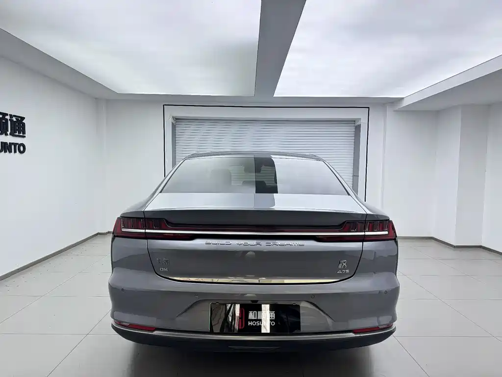 Han 2020 DM AWD Performance Edition Luxury