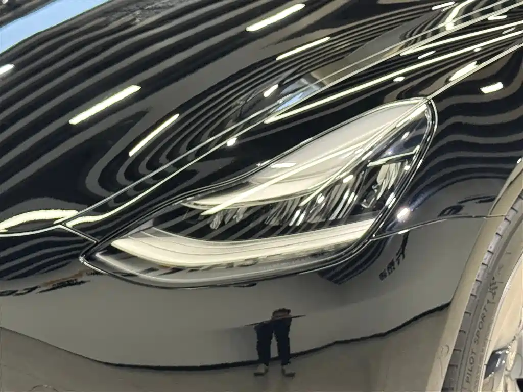 Model 3 2020 Standard Range Plus RWD