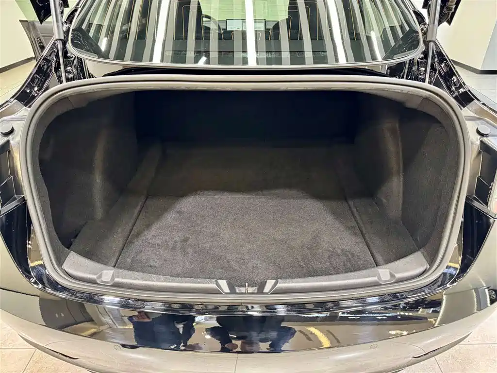 Model 3 2020 Standard Range Plus RWD