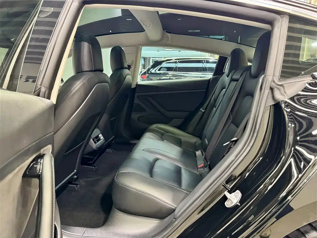 Model 3 2020 Standard Range Plus RWD