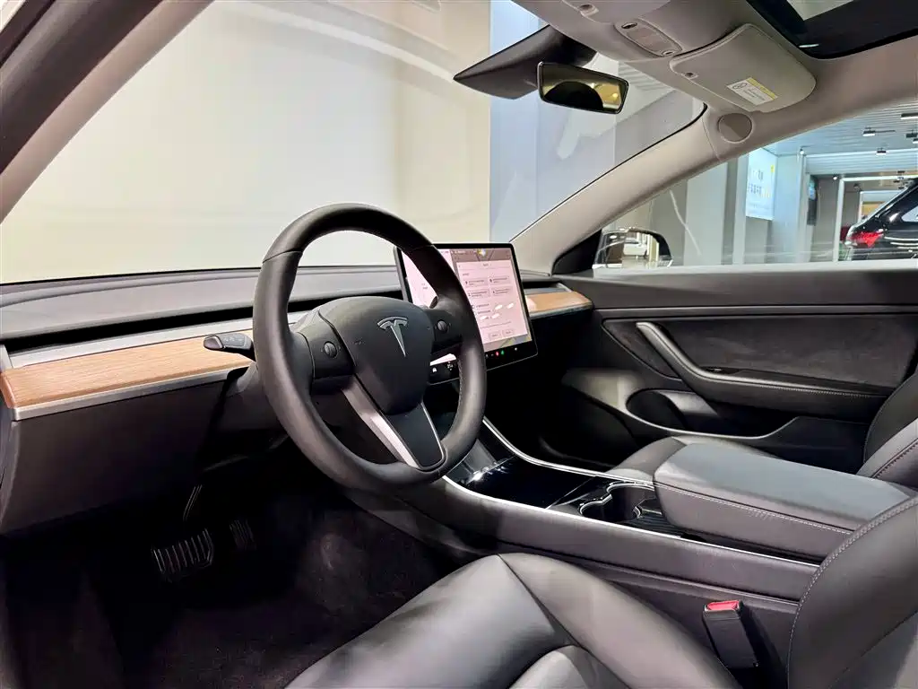 Model 3 2020 Standard Range Plus RWD