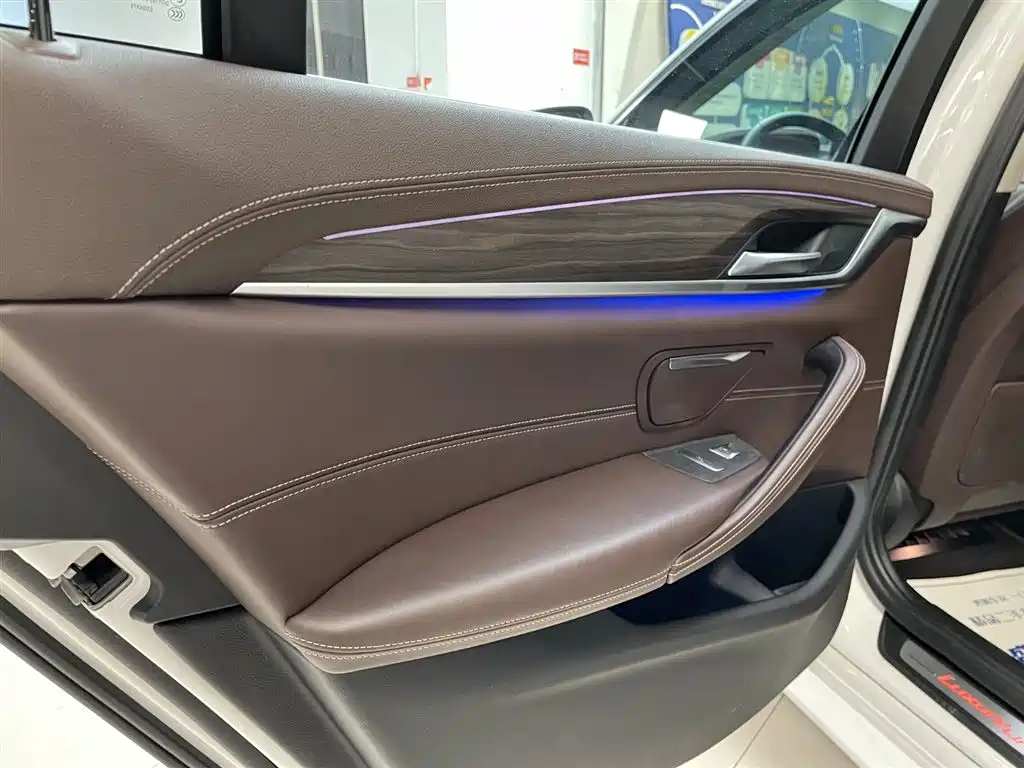 BMW 5 Series 2020 530Li xDrive Luxury Package