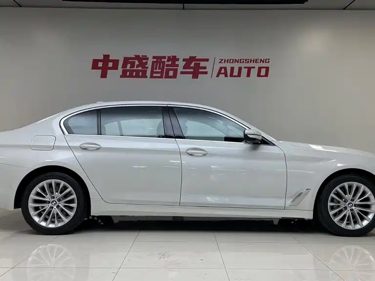 BMW 5 Series 2020 530Li xDrive Luxury Package