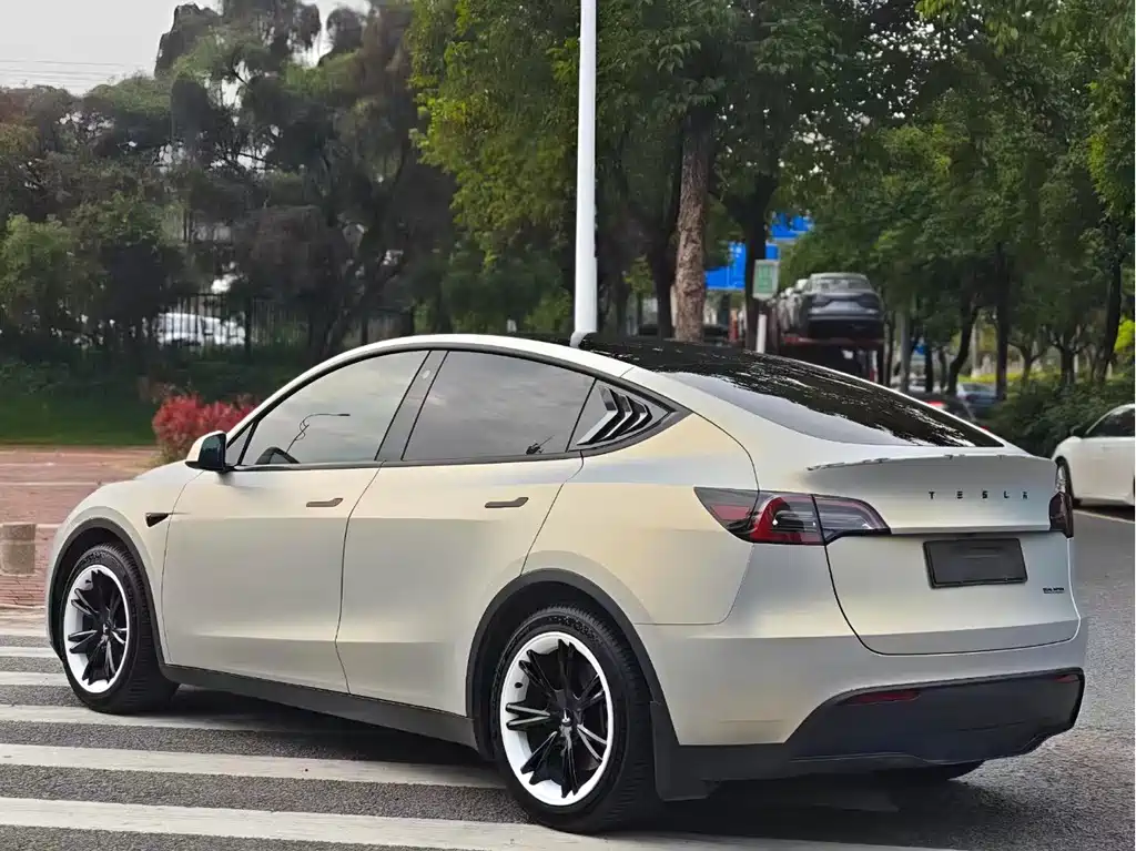 Model Y 2021 Standard Range RWD