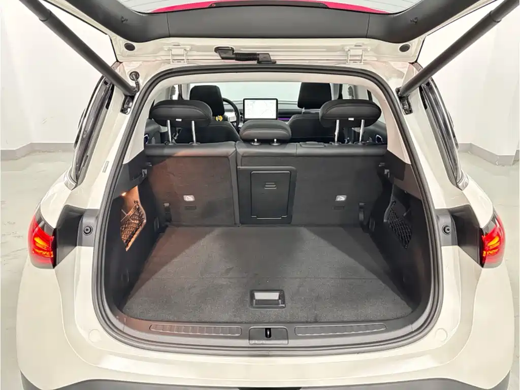 smart #1 2024 Pulse Standard Edition