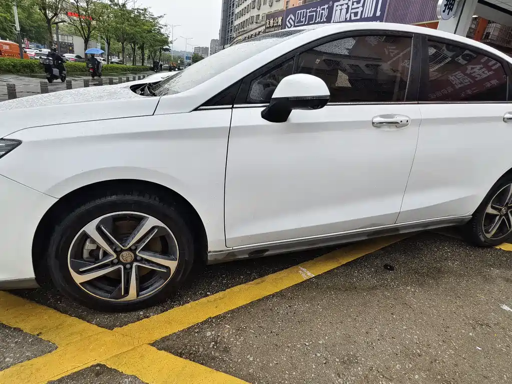 Beijing EU5 2019 R500 Zhifeng Edition