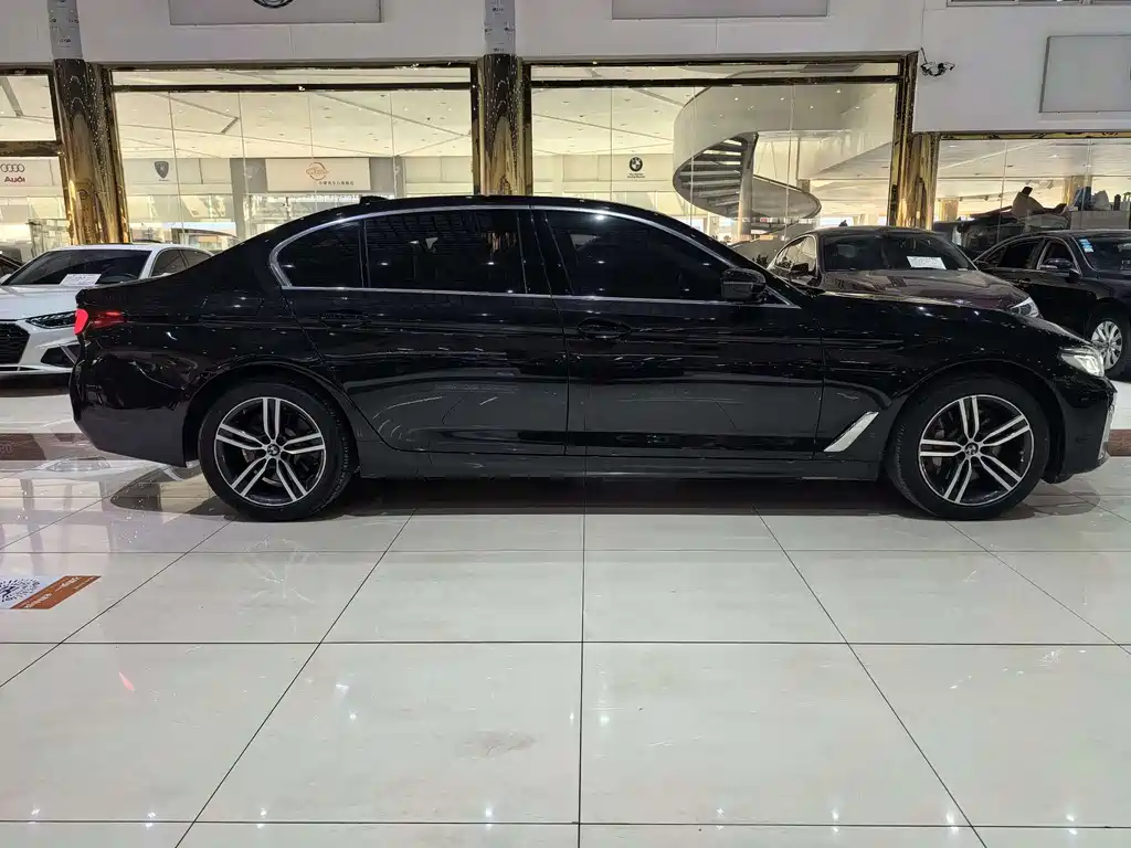 BMW 5 Series 2021 530Li Leading Luxury Package