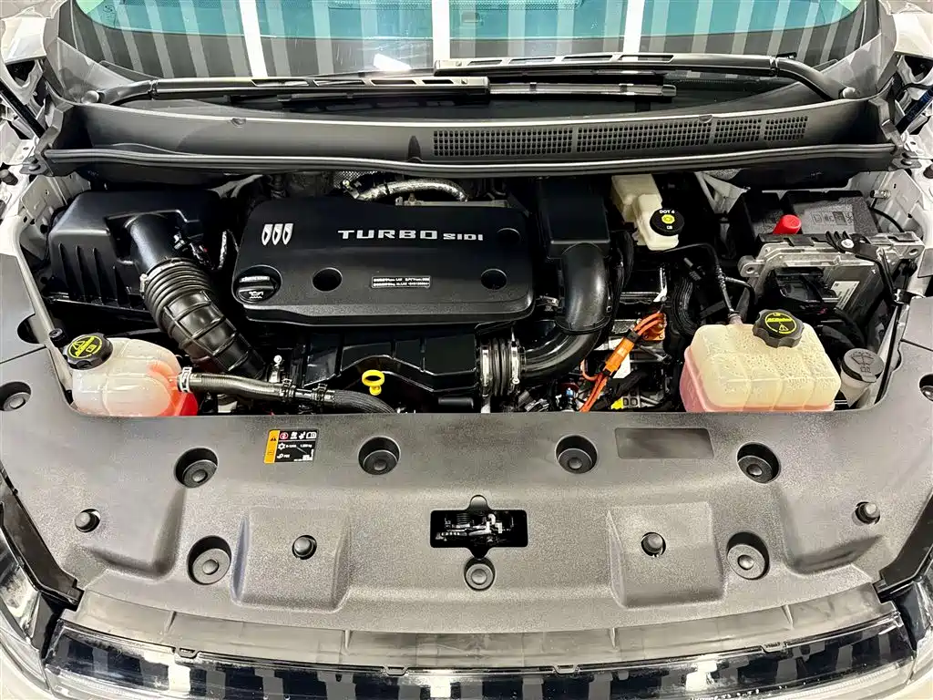 Buick GL8 EV 2024 Lu Zun Luxury 7-Seater