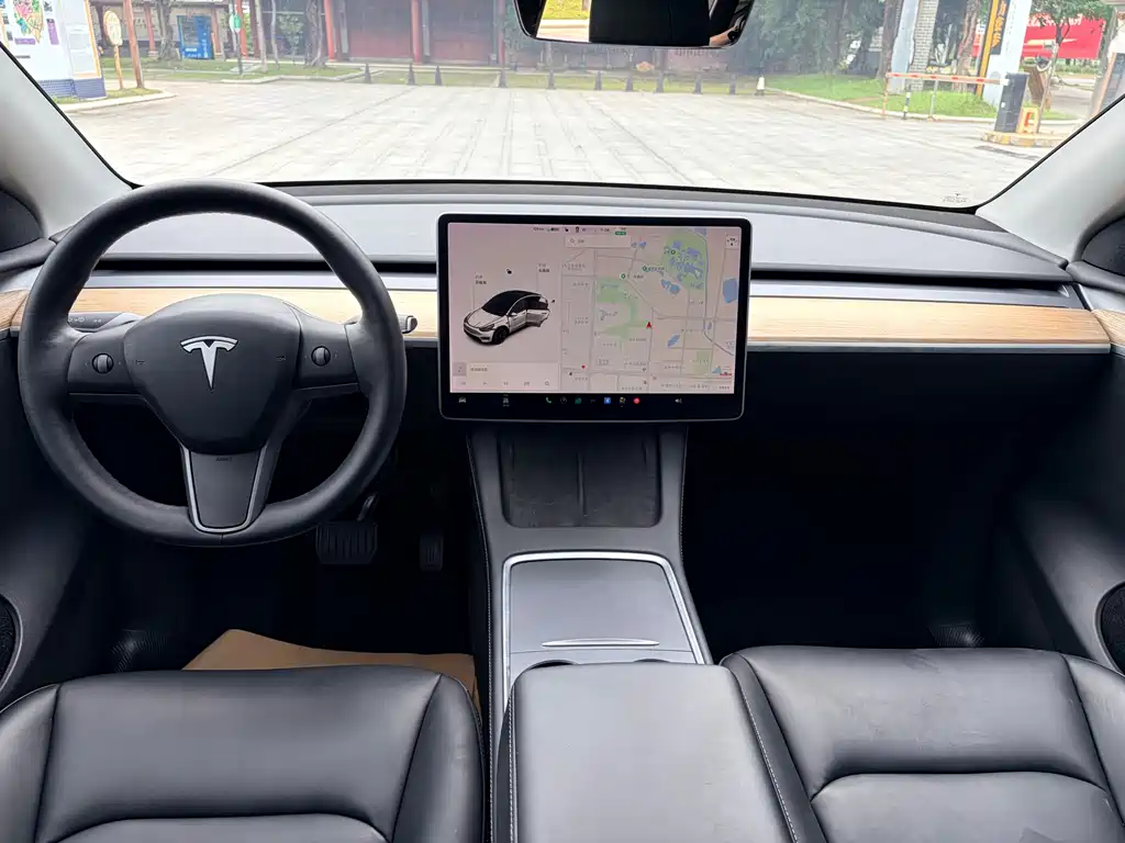 Model Y 2021 Standard Range Rear-Wheel Drive Edition