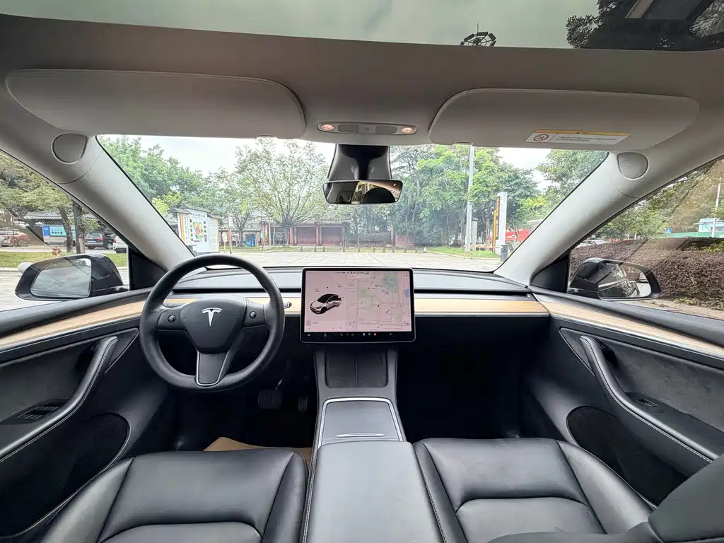 Model Y 2021 Standard Range Rear-Wheel Drive Edition