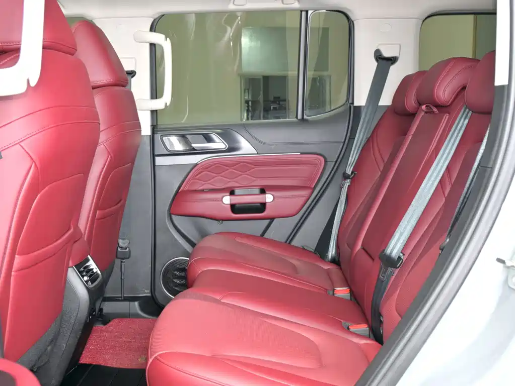 TANK 300 2025 Edition 2.4T Diesel