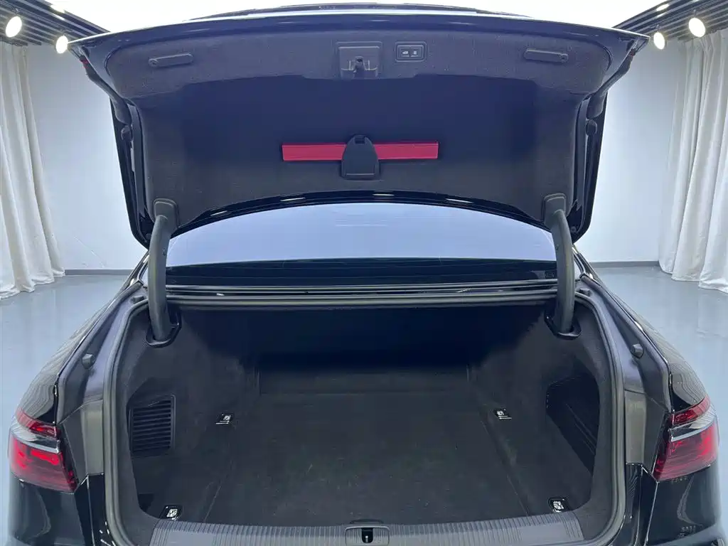 Audi A8 2021 A8L 55 TFSI quattro Luxury Edition