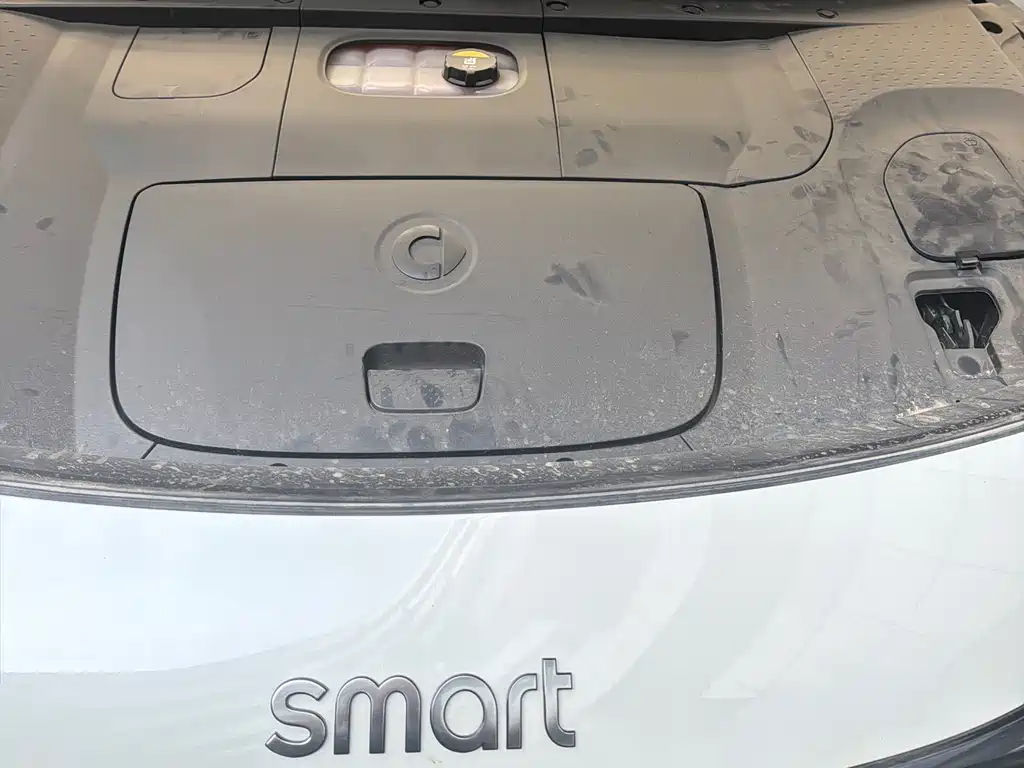 smart #1 2024 Dynamic Standard