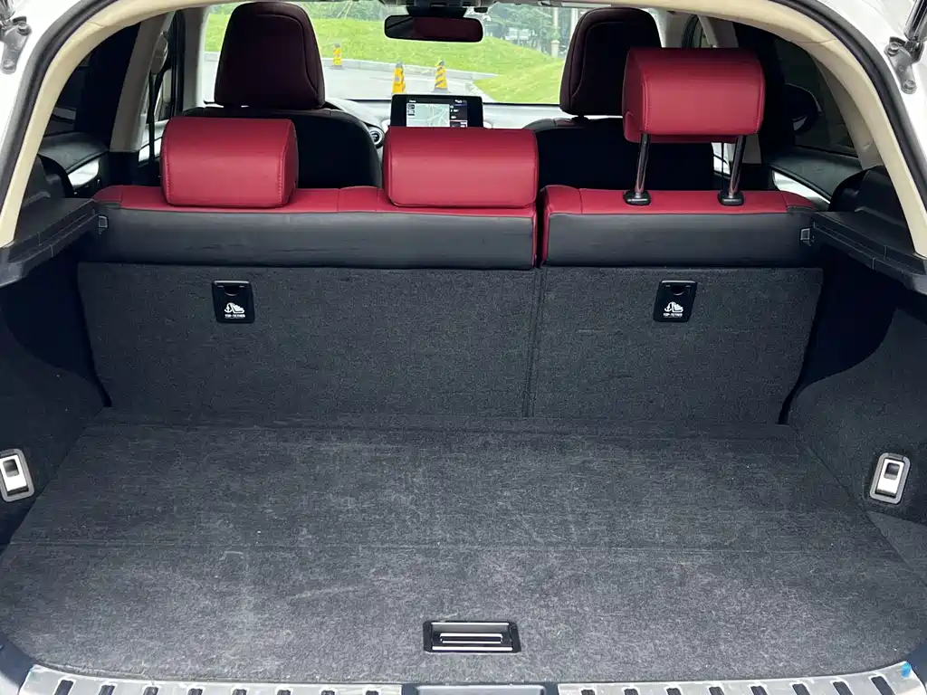 Lexus NX 2020 300h FWD F Sport China V