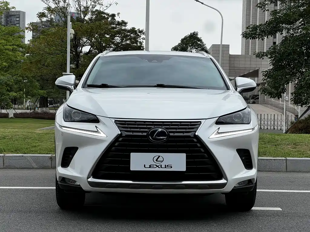 Lexus NX 2020 300h FWD F Sport China V
