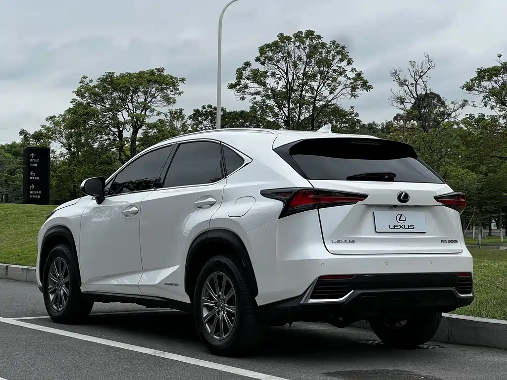 Lexus NX 2020 300h FWD F Sport China V