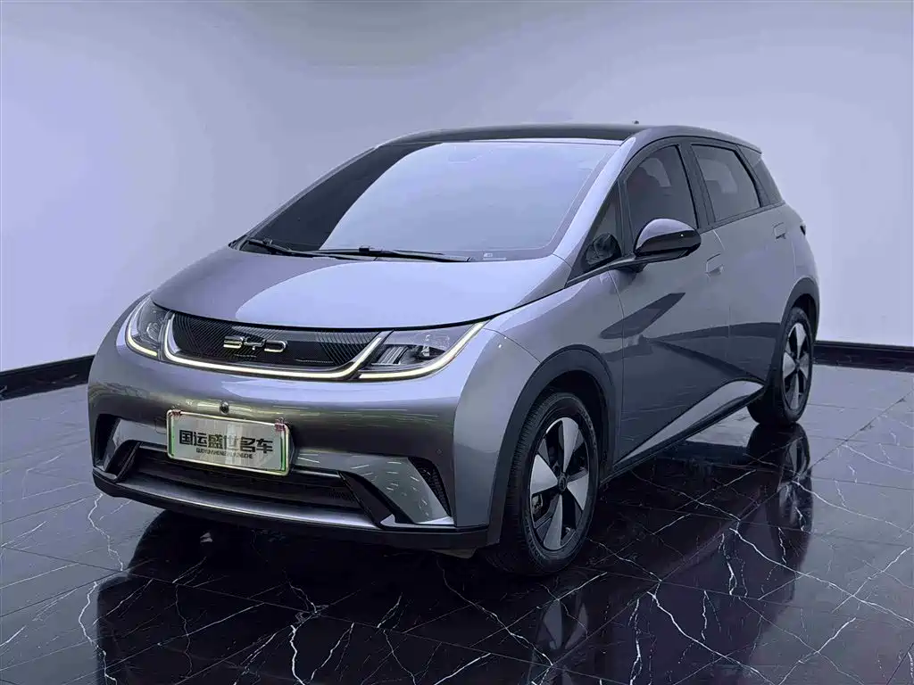 BYD Dolphin 2023 420km Trend
