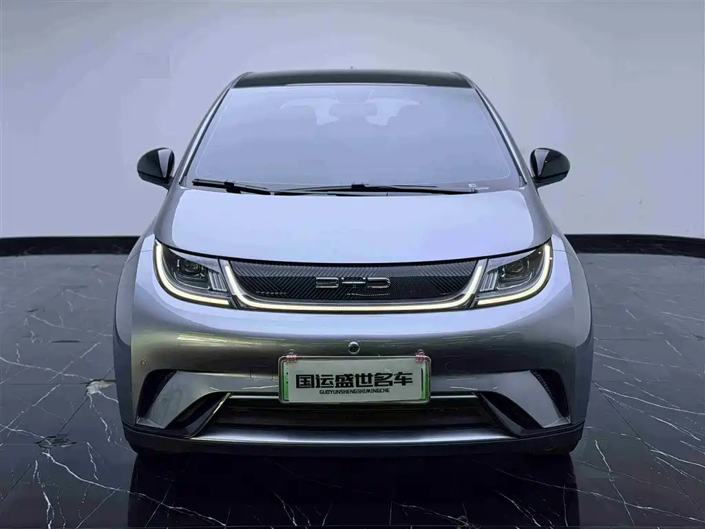 BYD Dolphin 2023 420km Trend
