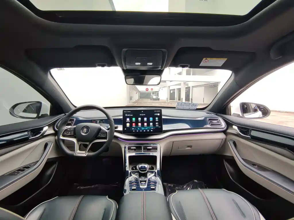 BYD Qin PLUS EV 500KM Prestige Edition 2021