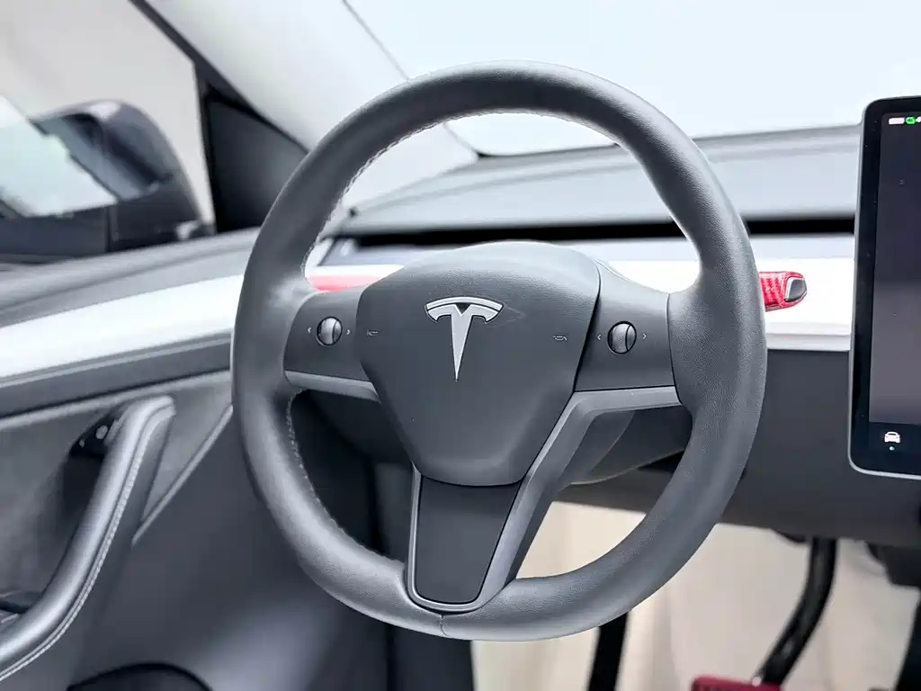 Model Y 2022 Rear-Wheel Drive Version