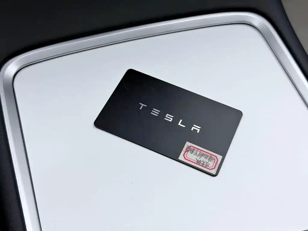 Model Y 2022 Rear-Wheel Drive Version