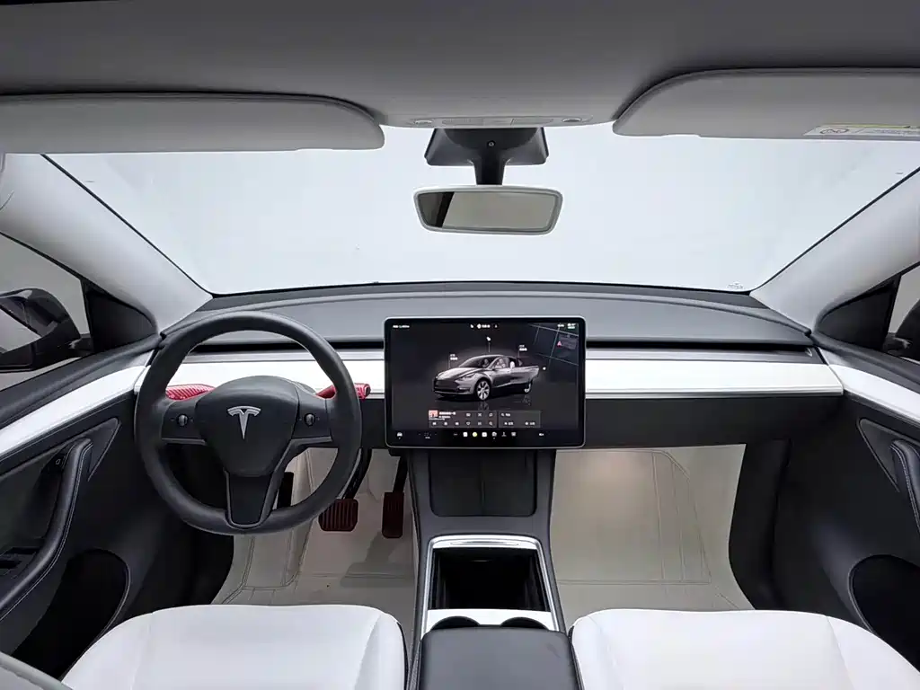 Model Y 2022 Rear-Wheel Drive Version