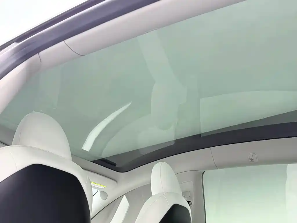 Model Y 2022 Rear-Wheel Drive Version