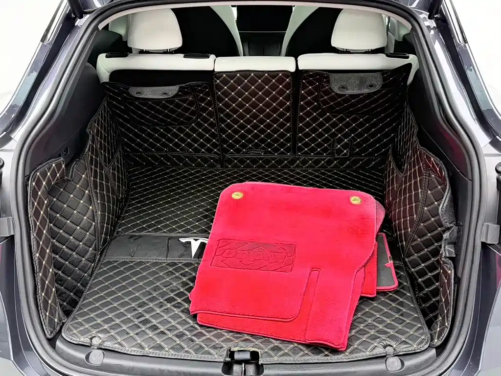 Model Y 2022 Rear-Wheel Drive Version
