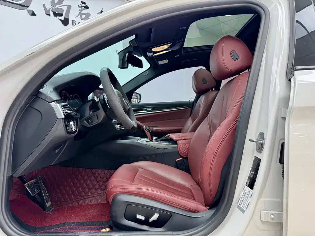 BMW 5 Series 2019 530Li M Sport
