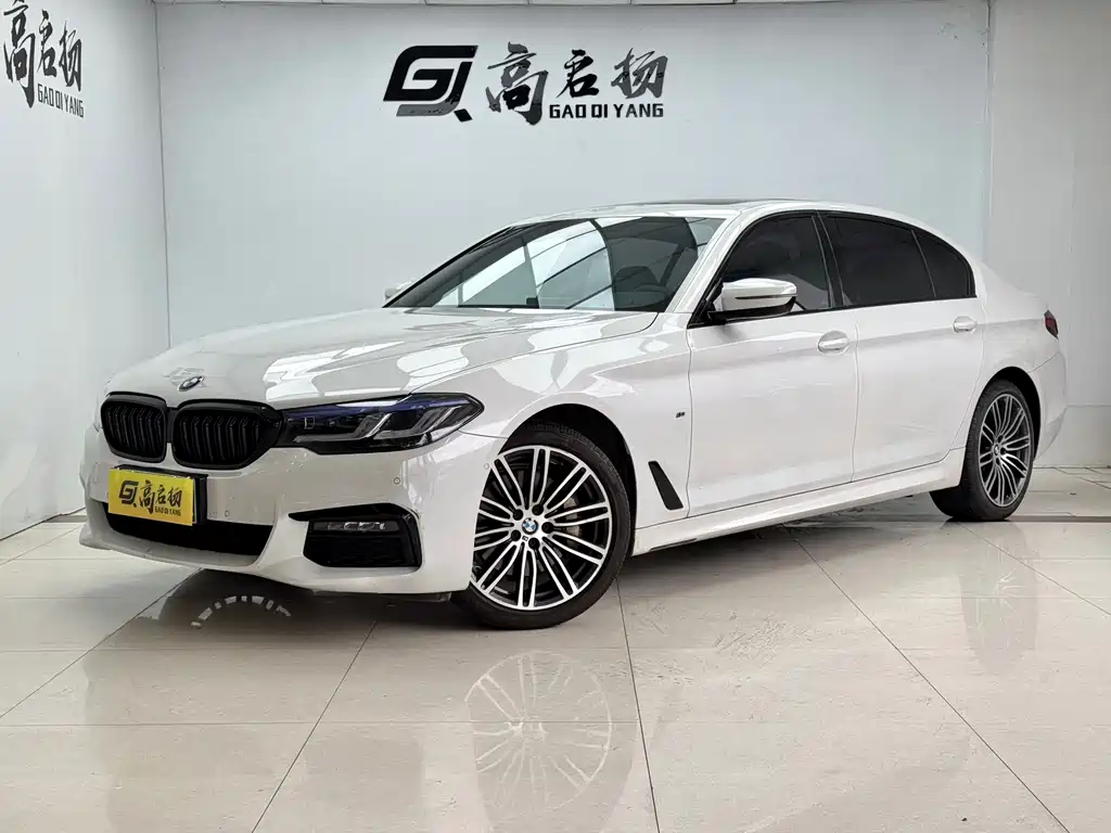 BMW 5 Series 2019 530Li M Sport
