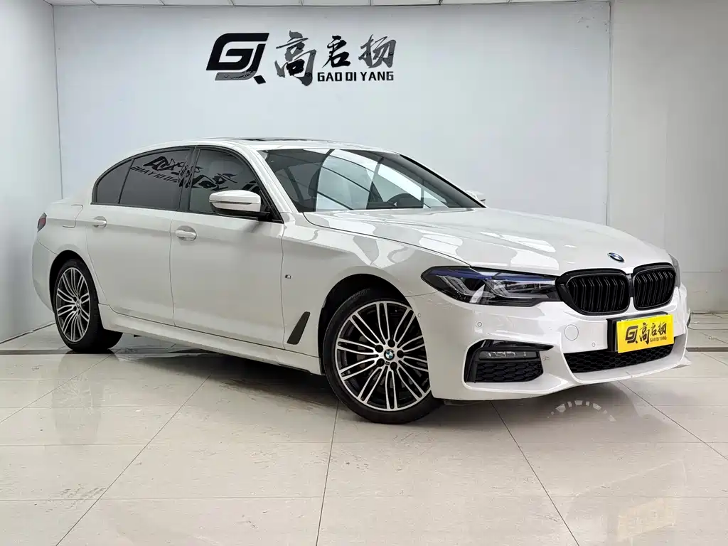 BMW 5 Series 2019 530Li M Sport