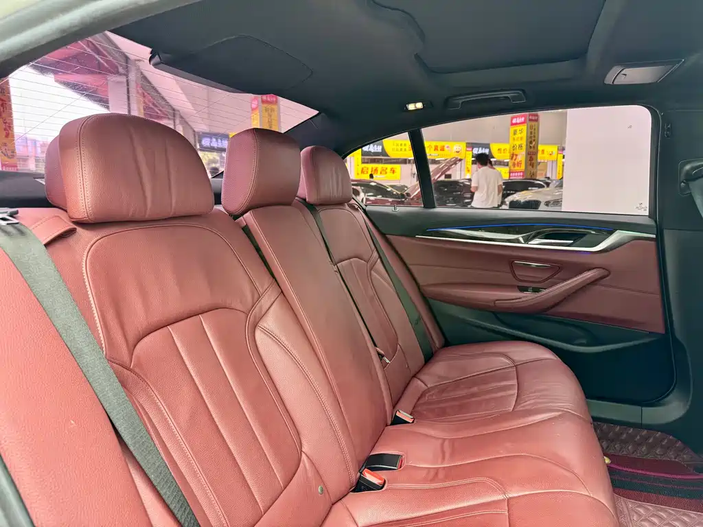 BMW 5 Series 2019 530Li M Sport