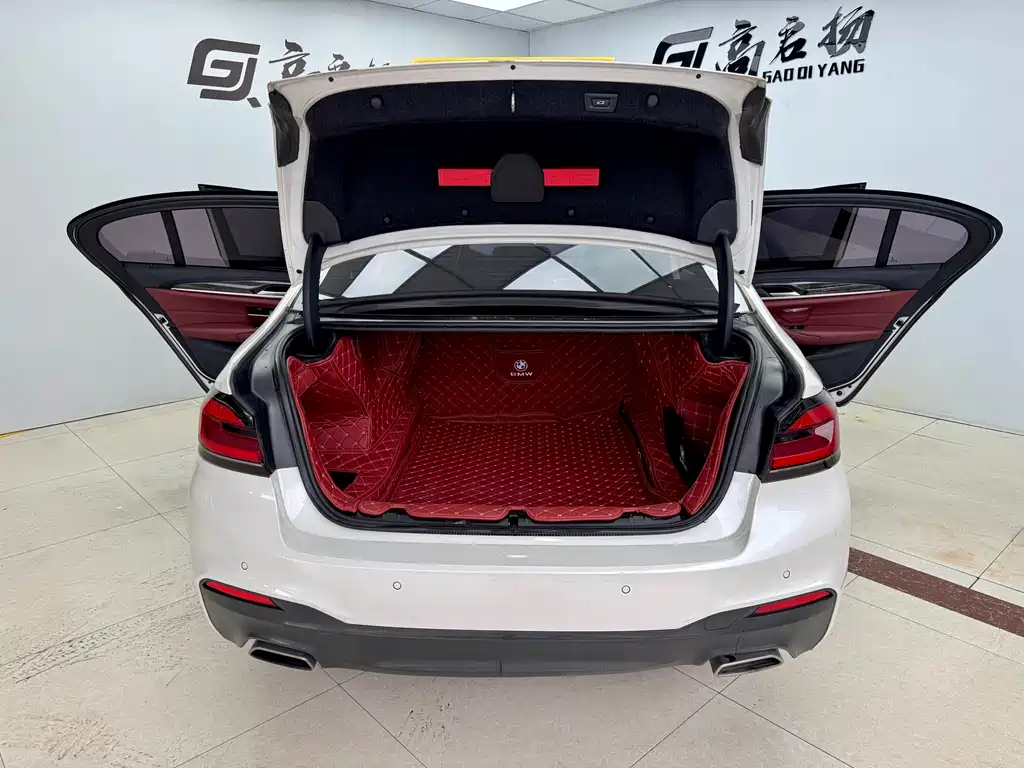 BMW 5 Series 2019 530Li M Sport