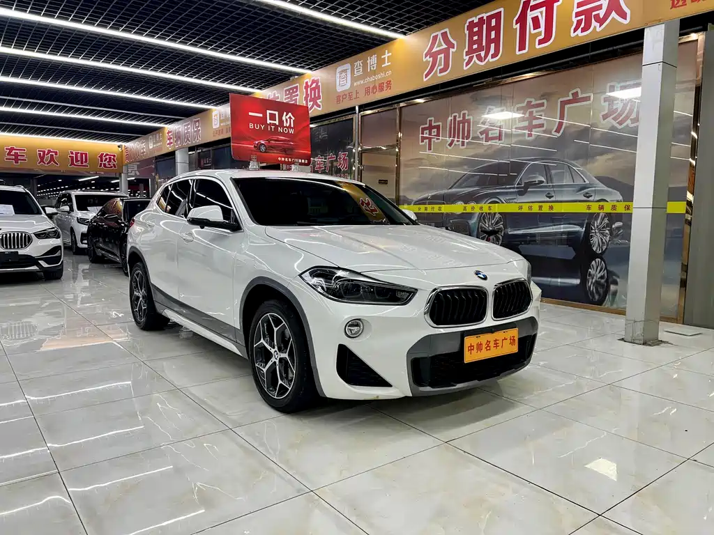 BMW X2 (import) 2019 sDrive20i M Off-Road Package China VI