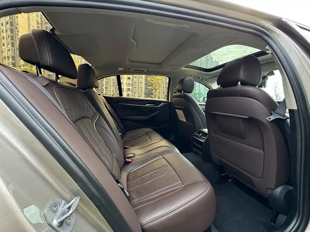 BMW 530Le 2020