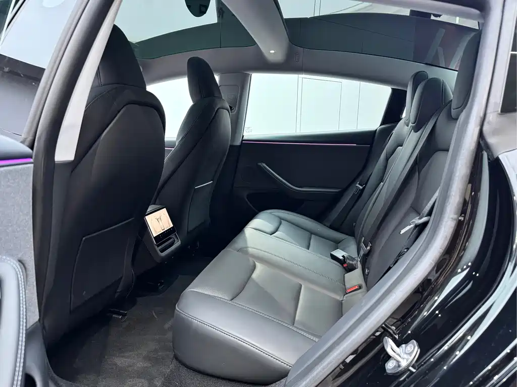Model 3 2025 Rear-Wheel Drive