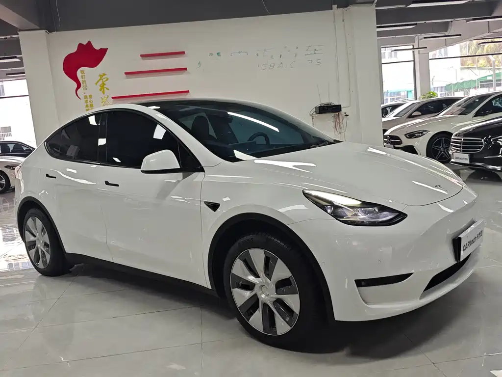 Tesla Model Y 2022 Rear-Wheel Drive