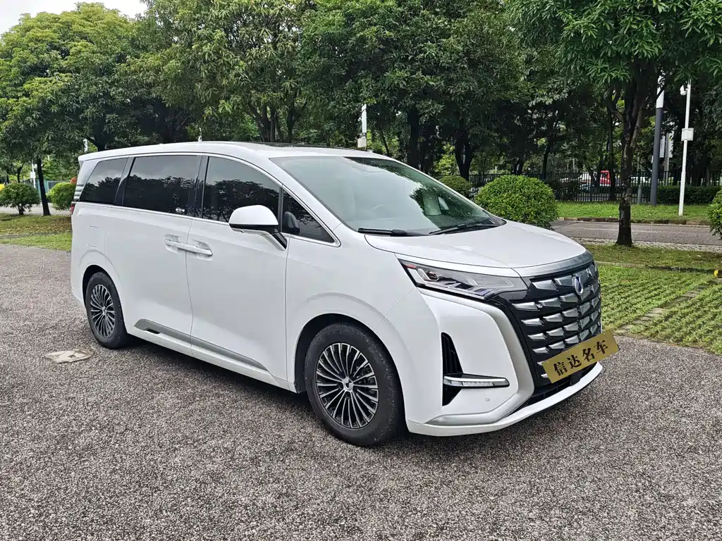 Denza D9 2024 DM-i 980 AWD Premium