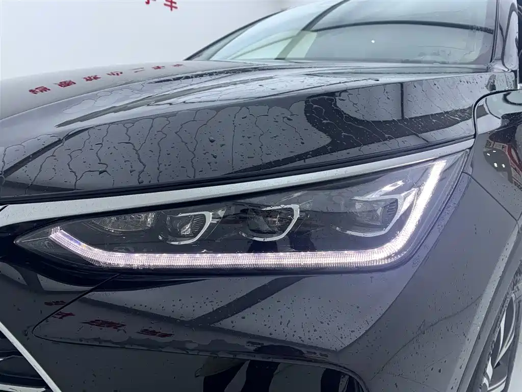 BYD Tang DM-i 115km Flagship (2025)