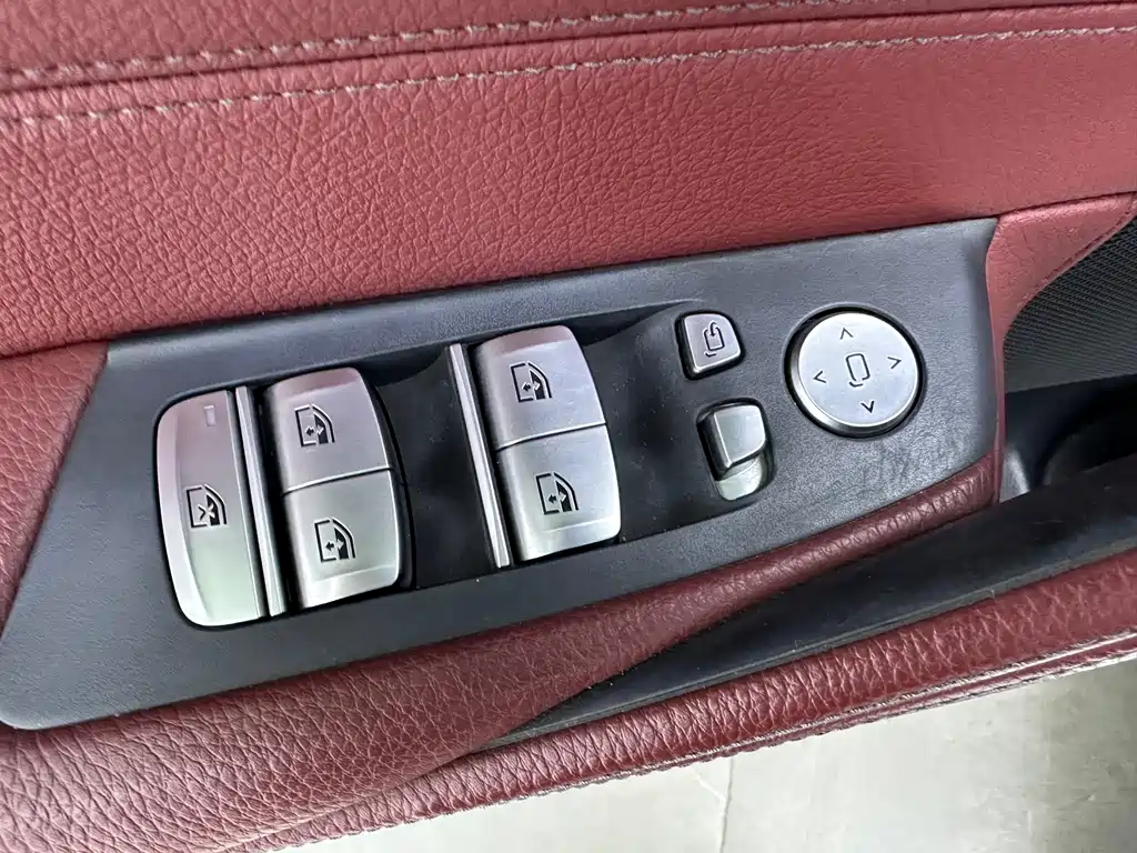 BMW 5 Series 2020 530Li Leading Model M Sport Package